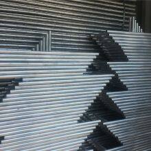 IMG_0859(20220823-100820)