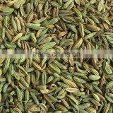 Fennel Seeds thumbnail-2