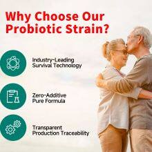 High Activity Freeze-dried Lactobacillus Plantarum Powder Food Grade Bulk Probiotics for Gut Health Supplements & Food Industry thumbnail-4