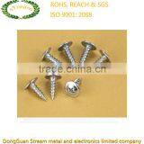 OEM Professional Hot Sale Self-drilling Screw