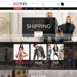 Website Design and Development