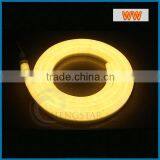 5M 300LEDs 24V 12V LED Neon Flex Digital Programmable RGB Mini Led Neon Flex thumbnail-2