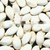 New 2016 Pumpkin Seeds In Shell thumbnail-1