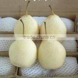 Sell Ya Pear thumbnail-1