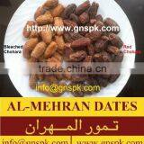 Pine Nut - Pakistan Origin, Pakistani Exporter and Supplier of PINE NUTS, PINE NUT,PINE-NUTS, PINE-NUT, Exporting Nuts, Pine Nut thumbnail-4