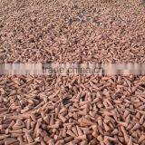 1inch Raw Incense Cones thumbnail-1