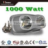 High Luminous New Technology IP65 1000W Led Flood Light Metal Halide Led Replacement thumbnail-1