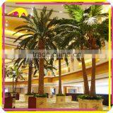 KANO6139 Huge Landscape Decorationt Artificial Palm Tree for Sale thumbnail-3