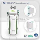Double Handles Cryolipolysis Fat FreezeSlimming Cool Sculpting Machine For Home Use Lose Weight thumbnail-1