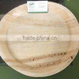 Areca Nut Plates Manufacturers / Supplier in India - Tamil Nadu thumbnail-3