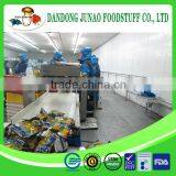 Healthy Frozen Carrot Bulk Dice thumbnail-2