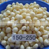 2015 New Crop Garlic Cloves In Brine 150-250