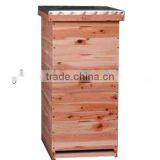Wooden Honey Beekeep One Layer the Beehive