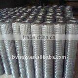 Galvanized Welded Wire Mesh thumbnail-1