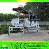 HENAN TOPS Park Horse Carriage MC-12 for Sale Tourist Car thumbnail-4