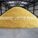 Hot Sale Prefabricated Steel Structure Grain Warehouse thumbnail-3