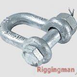 RIGGING CHAIN SHACKLE WITH SAFETY PIN,drop Forged