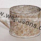 Plant Use Watering Canes, Home Decorative Watering Canes thumbnail-3