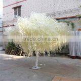SJ20171392 Factory Ornamental Foliage Japanese Willow Tree thumbnail-4