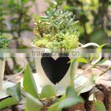 Colorful Garden Plants Small Decoration Metal Flower Pot thumbnail-2