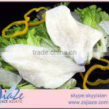 IQF Frozen John Dory Fish Fillet PBO PBI thumbnail-4