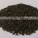 Green Tea Gunpowder 3505 thumbnail-1
