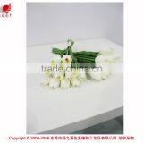 Hot Selling Tulip for Home Decoration Pieces and Valentine's Day Gift Flower thumbnail-1
