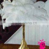 Wholesale Multicolor Decotation Ostrich Feather thumbnail-4
