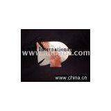 ONYX FISH thumbnail-1