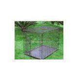 Dog House thumbnail-1