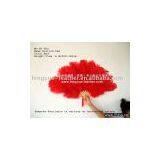 New Collar Lace thumbnail-1