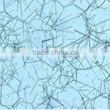 High Quality Zoology Slides ,high Quality Animal Slides thumbnail-5