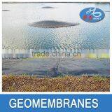 High Quality Fish and Shrimp Farm Hdpe Geomembrane