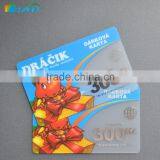 Full Color Frosted Transparent PVC Plastic Business Cards Print