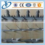 Hot Sale Wall Razor Spike / Anti climb Spikes on Top of Wall