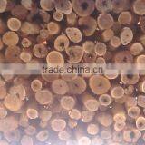 AAA GRADE CERTIFIED & GENUINE AUSTRALIAN SANDALWOOD thumbnail-1