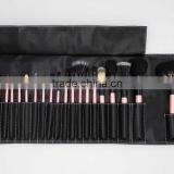 Pink 20 Piece Makeup Brush Set, Fan Powder Blush Eye Shadow Lip Eyelash Brushes