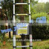 Adjustable Aluminum Telescopic Ladder 11 Steps 3.2m
