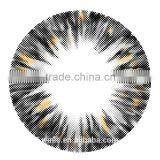 2014 New Product 100% Korea Made Color Contact Lens OEM CO3-13 Gray Color Contact Good Quality thumbnail-1