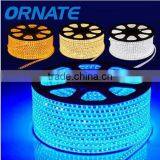 Hot on Sale AC110V/220V Led Rope Light