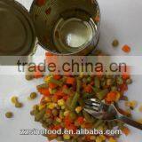 Halal Food Healthy Food Canned Food Canned Mixed Vegetable in Tins