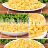 Grade A Quality Frozen IQF Sweet Corn Kernel thumbnail-3