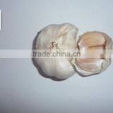 Dehydrated Vegetable Air Dried White Garlic thumbnail-2