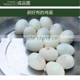 FT-200 Industrial Machinery and Equipment for Egg Shelling Machine,egg Breaking Machine,boiled Egg Peeling Machine thumbnail-6