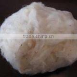 Raw Cotton S6 thumbnail-2