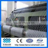 Hot Dipped Galvanized Hexagonal Wire Mesh / Gabion Box thumbnail-1