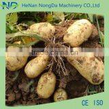 Hot Sale Potato Seeder / Planter thumbnail-5