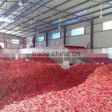 Stainless Steel Fruit Drying Machine,fruit Vegetable Mesh Belt Drying Machine,belt Drying Machine for Fruit Mango Lemon thumbnail-5