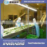 2000Kg/H Frozen Production Line thumbnail-1