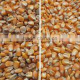 5388 Pixels Intelligent Ccd Color Camera Color Sorter With Advanced Technology and Quality Service thumbnail-4